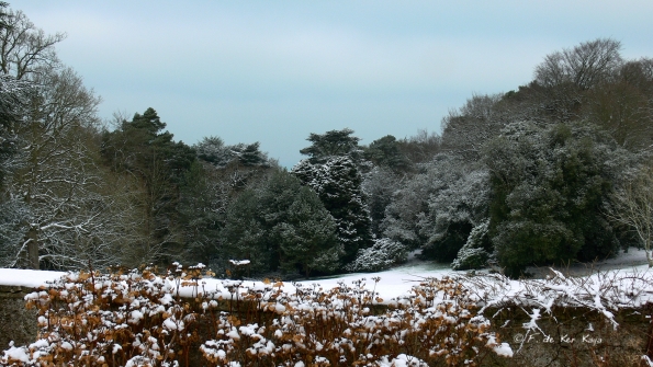 Bois des Moutiers Winterreise (20)